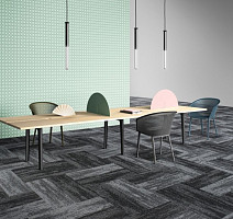 Shared Path на акустической основе Echo Acoustic